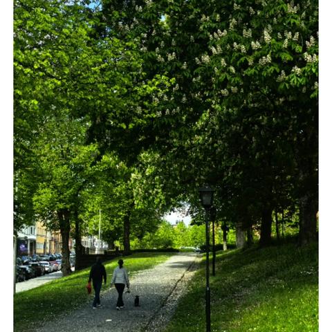 北欧旅行之游记三