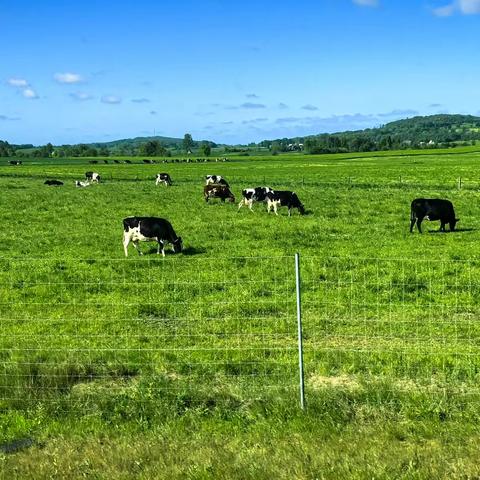 北欧旅行之游记八