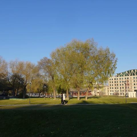 东农后稷园初冬景色随拍