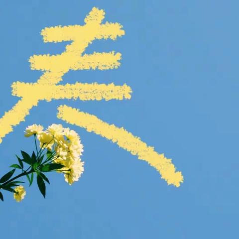 翰林幼儿园-大四班三月份精彩回顾🌷