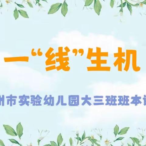 《一“线”生机》——汝州市实验幼儿园大三班班本课程