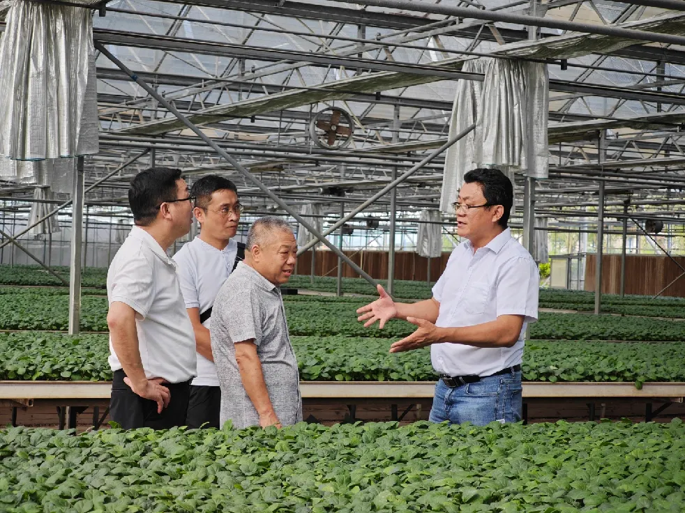 简篇-三亚经济研究院郭强院长一行莅临三亚市热科院崖州基地座谈交流