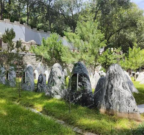 怀思堂陵园树葬墓地，自然石标记，融入大自然
