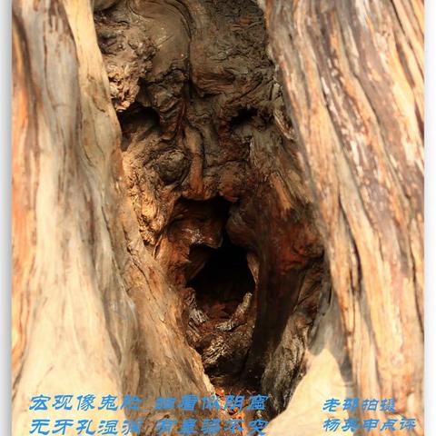 诗词曲赋——鬼脸