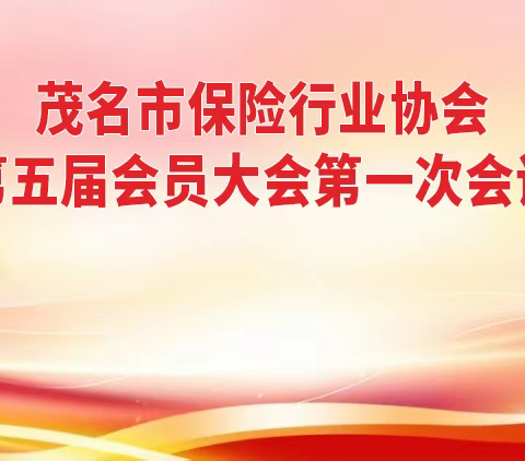 勠力同心，众行致远，发展永不止步 ﻿——茂名市保险行业协会第五届会员大会第一次会议胜利召开