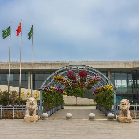 行摄：辰山植物园