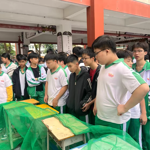 喜迎元旦 情聚红楼—嘉积中学2025年大型主题游园活动
