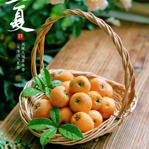 春意阑珊处，立夏款款来