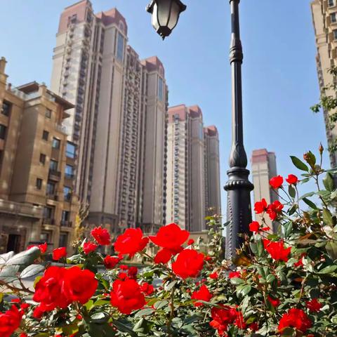 邢台恒大悦府2024年12月份工作简报