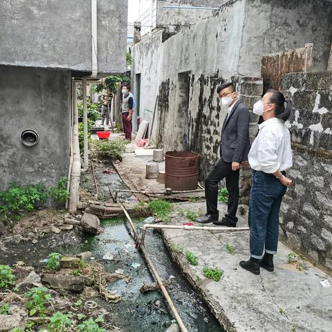 海鸥村持续发力治理 背街小巷人居环境卫生