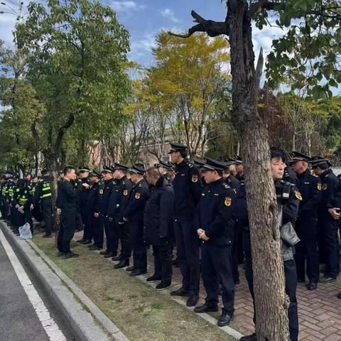城市管理“绣花针”密织保障网，众志成城护“花”绽放