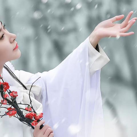 《踏雪寻梅》水天镜界摄影作品