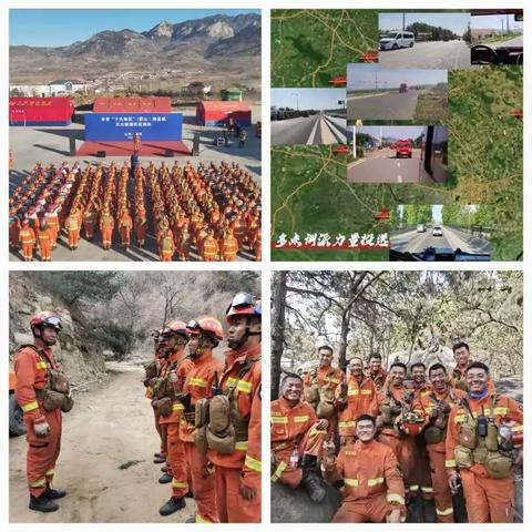 【临沂支队】森林消防大队受临沂市人民政府表彰