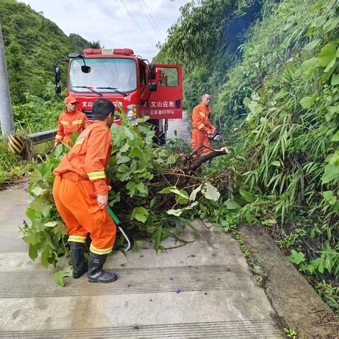 莲花塘乡：双节在岗“不断档” 绷紧防汛“安全弦”
