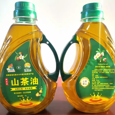 金秋油茶香，“清莲惠”收购油茶果啦！