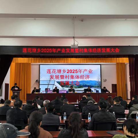 产业兴村强根基 联村共建谱新篇 ——莲花塘乡2025年产业发展暨村集体经济发展大会综述
