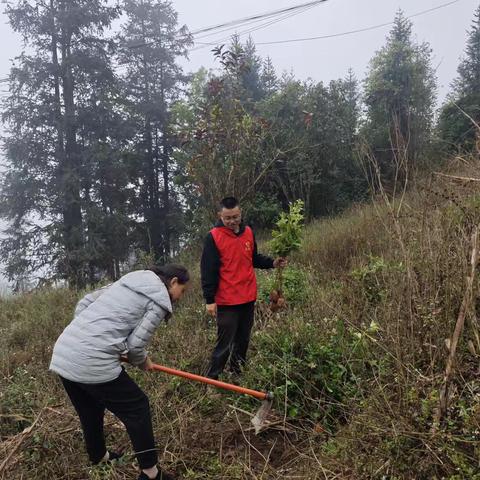 春风催新绿  莲花添绿韵