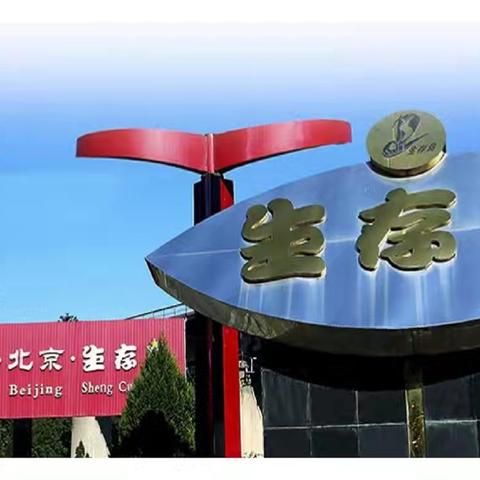 【姚家园校区 · 六年级】踏上“生存岛”   快乐体验行——社会实践大课堂