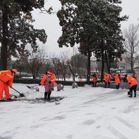 迎“雪”而上 齐心协力铲雪除冰保畅通