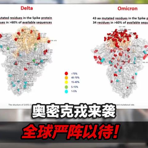 东部新天地项目管理处周报（12.18~12.24）