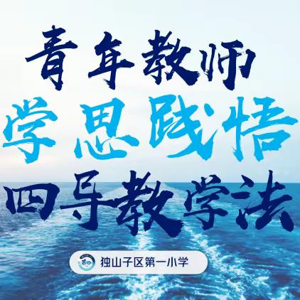 青年教师学思践悟“四导教学法”