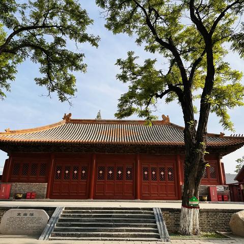 桐花雨润雅园土，古槐香沁远来客——定兴县实验小学顺利迎接保定市规范汉字书写教育检查