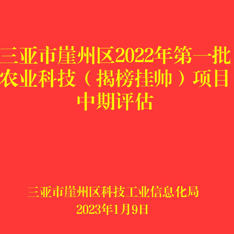 区科工信局组织召开三亚市崖州区2022年第一批农业科技“揭榜挂帅”项目中期评估会议