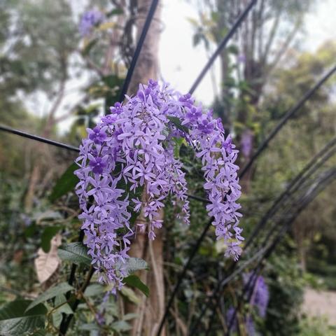 【园容管理周报】笔架山公园2025年4月第4周工作汇报