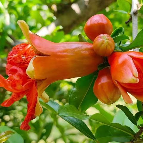 几易寒暑文愈醇