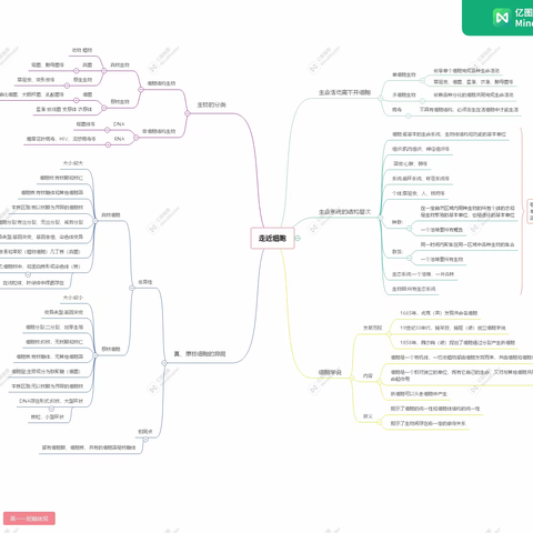 学业水平：画一章节的思维导图