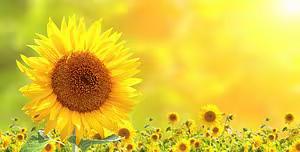 吉林化工学院成人教育报名网址