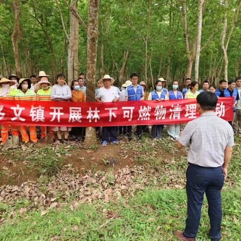 以“清”促防 防患未“燃” ——多文镇开展林下可燃物清理行动