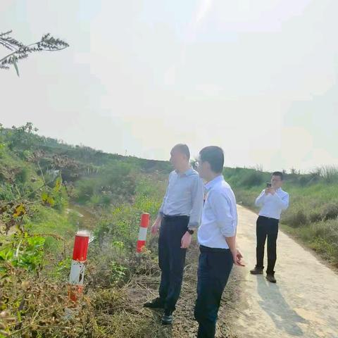 副县长陈方到多文镇开展巡河工作