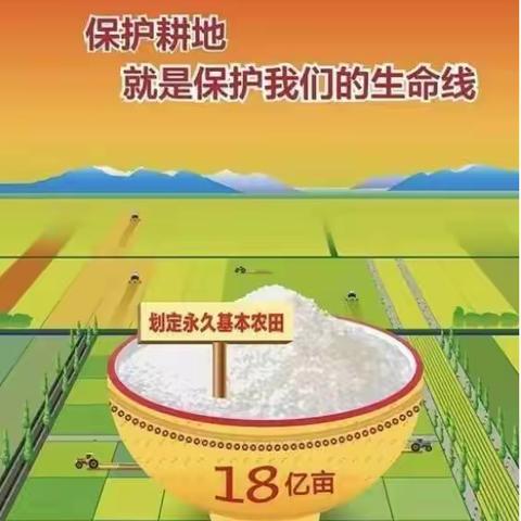 守护乡村良田沃土            — —筑牢大国粮仓的根基命脉
