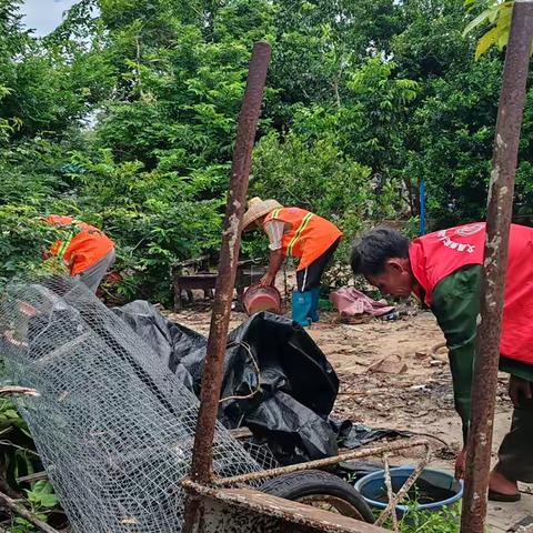 整洁环境· 有你有我 ﻿新村村开展爱国卫生运动大扫除活动