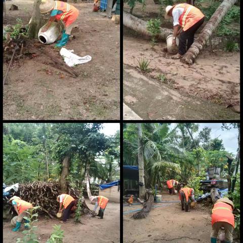 清积水· 清垃圾 ﻿新村村开展爱国卫生运动大扫除活动