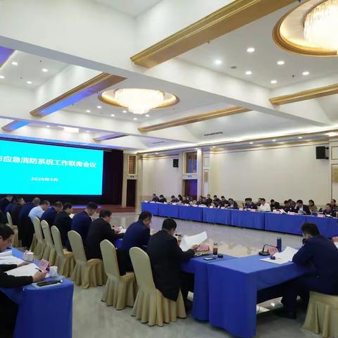 全市应急消防系统工作联席会议召开