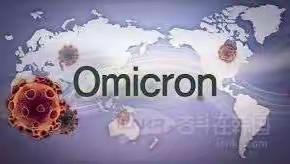感染奥密克戎全过程