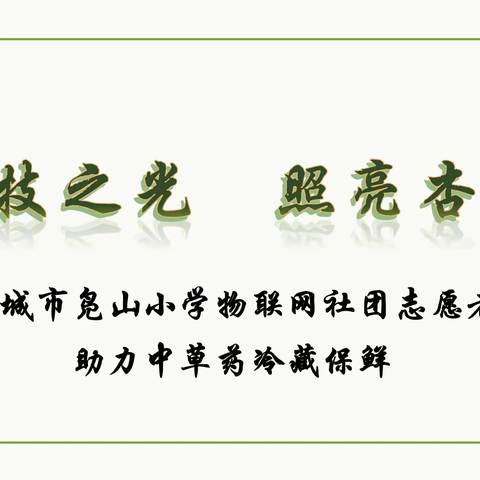 科技之光  照亮杏林-邹城市凫山小学物联网社团志愿者助力中草药冷藏保鲜