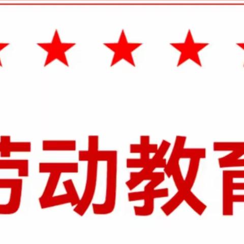 居家劳动传温情 厨艺展示显身手 ——乌海市第三中学劳动教育之烹饪篇