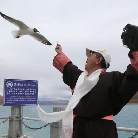 雪域圆梦 藏地行吟 西藏之旅系列报道之一综述 摄影纪实