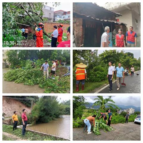 全力以赴，争分夺秒！沙琅镇按下灾后重建“加速键”