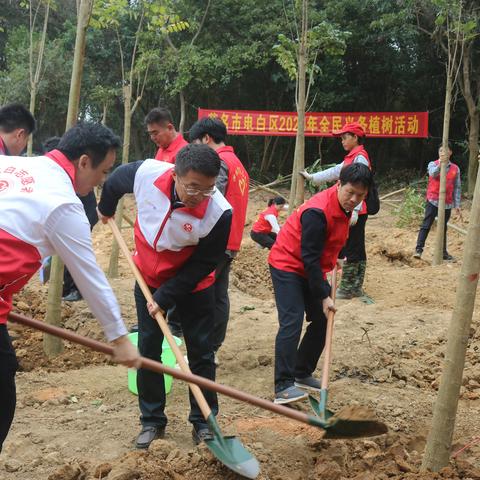 沙琅镇：种下党建“先锋林”，共绘绿美新画卷