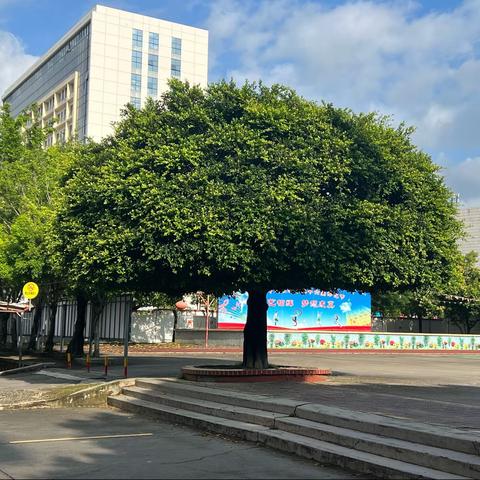 海城镇中心小学2023年秋季学位额满、安置分流及一年级第二批新生预录取名单通告