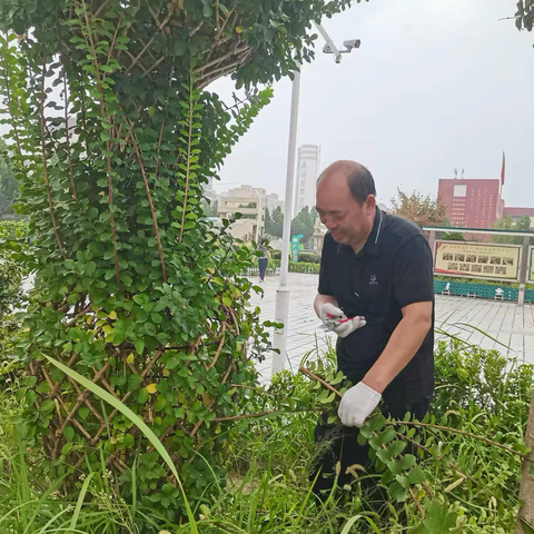 头雁领除杂草 群力共绘新图