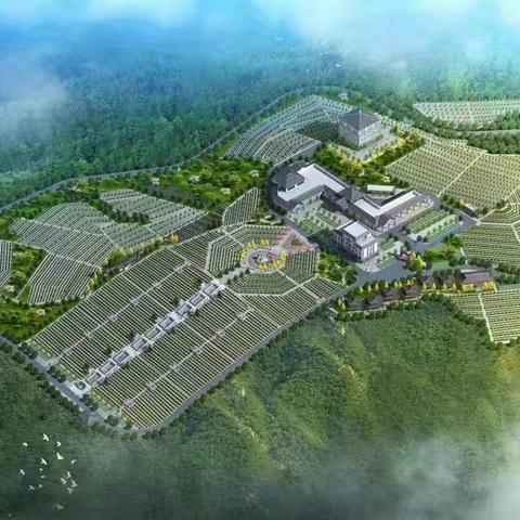 新修订《殡葬管理条例》17 类违法情形，罚则明确红线莫碰！