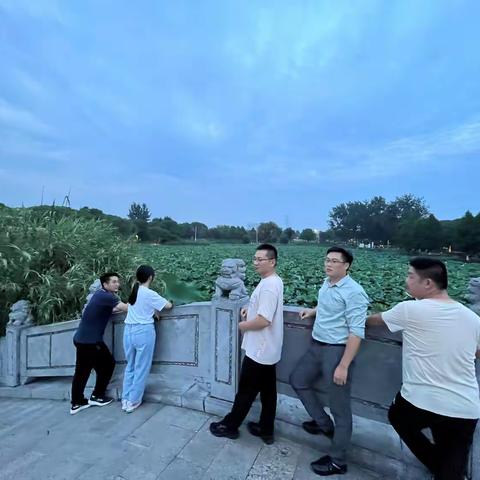 赏荷莲之韵 沐清廉之风    ——沪武扩建项目SYS-TC1标开展赏“莲”活动