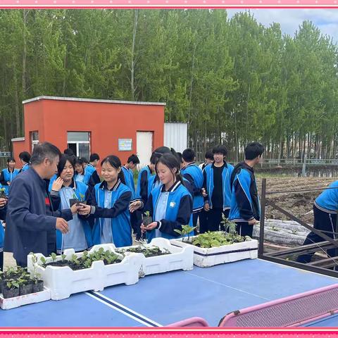 拥抱春天  播种希望---方正县天门乡中学校远程种植活动