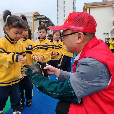 童心爱鸟，童行护鸟——南城县聚星幼儿园“爱鸟周”活动