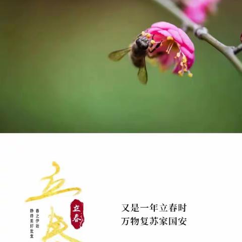 新乡硬协《春天的故事》大书法网络展（九十四）